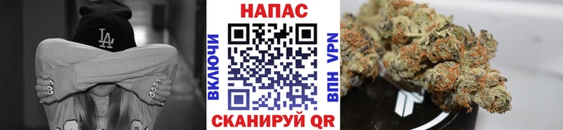 Что такое Зерноград ГАШ Конопля МЕФ