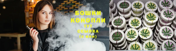 PSILOCYBIN Елабуга